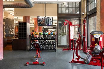 Free Weights